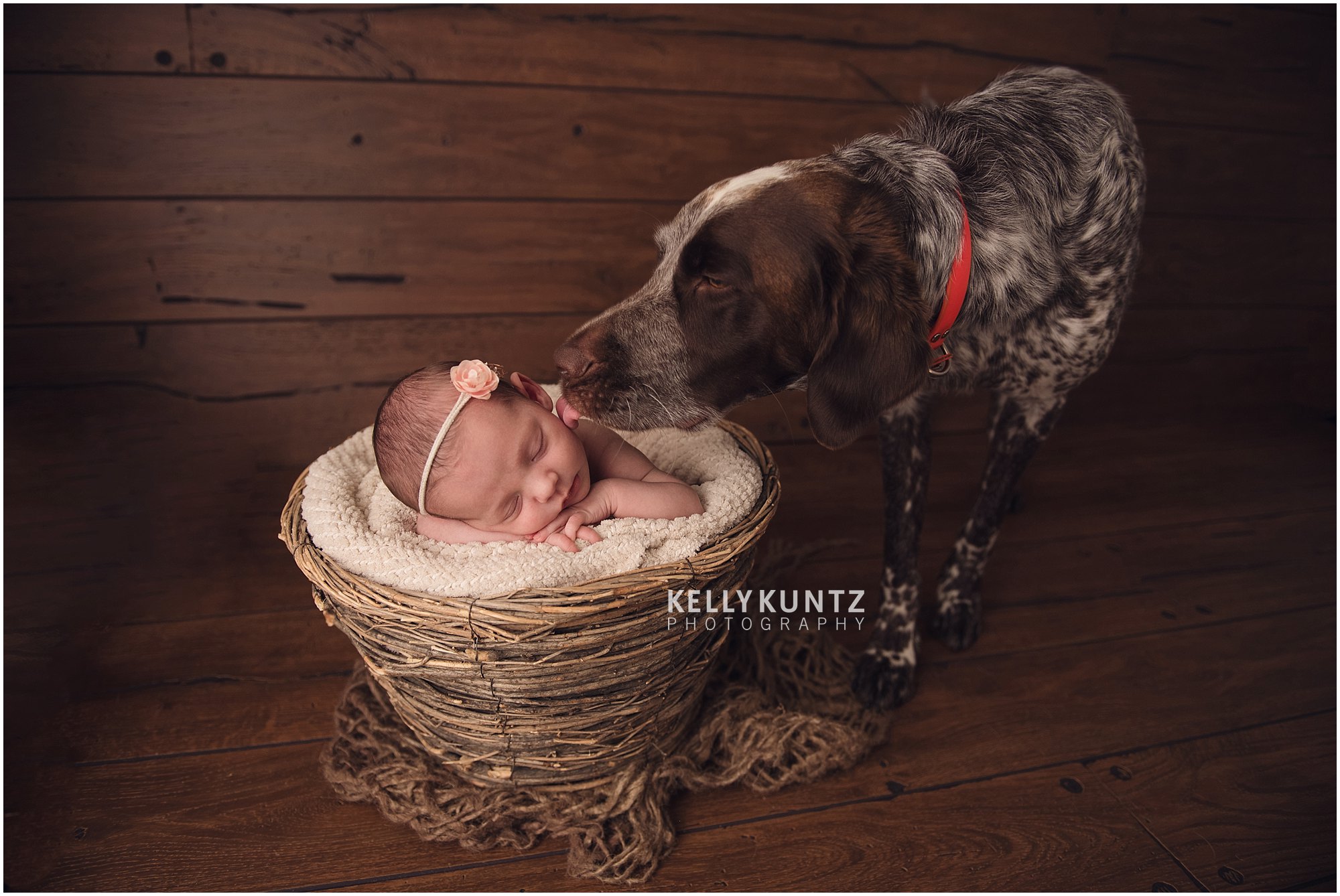 Newborn Dog Photography