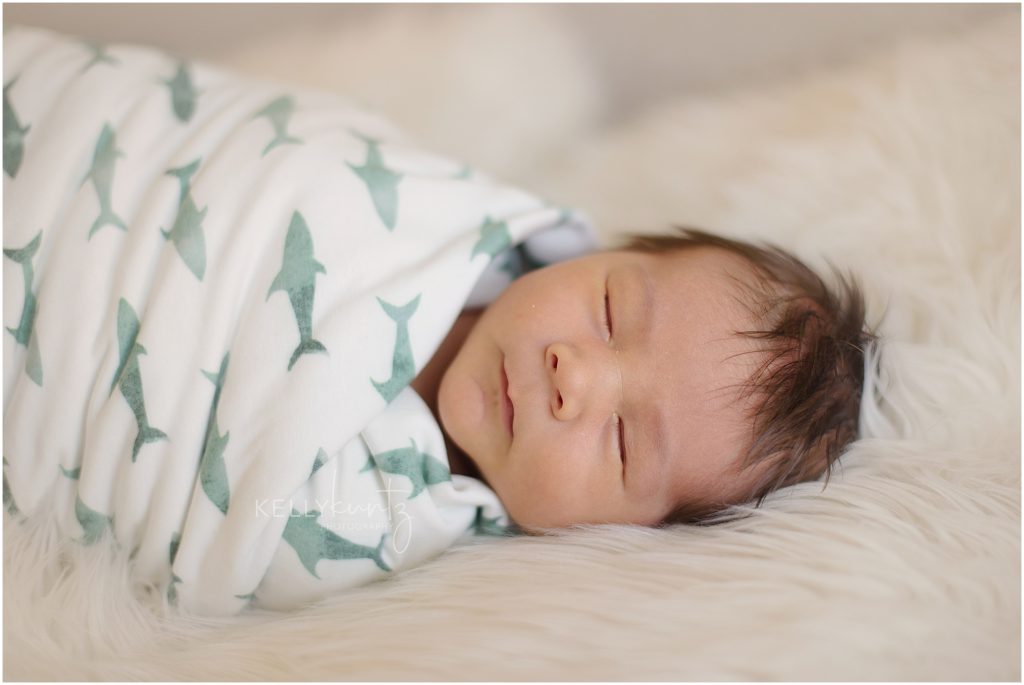Bozeman newborn photography